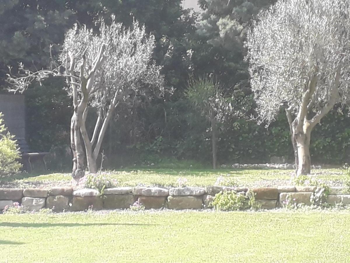 Mas" La Maison De Mon Pere " Proche Avignon A Pujaut Luaran gambar
